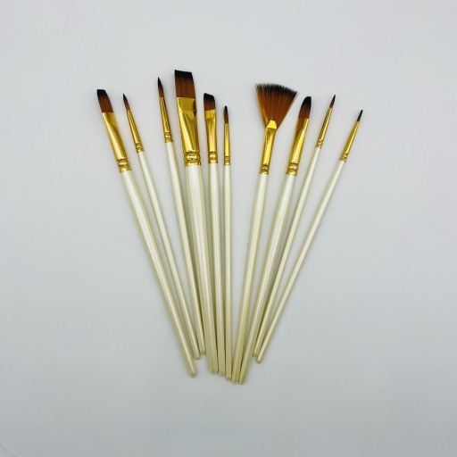 10 Piece Artist Brushes